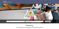 Zulily Marketing