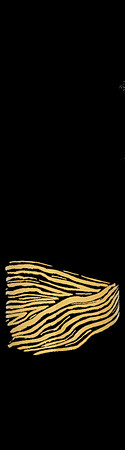 Alder_Ridge_Cabernet_Sauvignon_2014