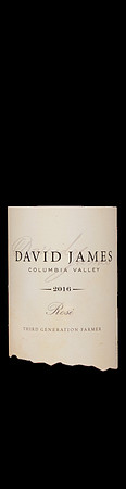 David_James_Rose_2016